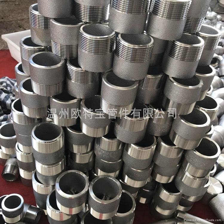 forged fittingsss/cs  two threaded pipe nipple end NPT/RC/BSP 5