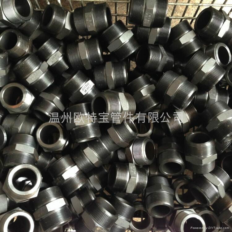 forged fittings stainless steel/carbon steel hex nipple 3