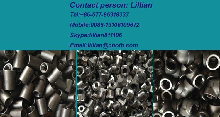 forged fittings stainless steel/carbon steel hex nipple 5