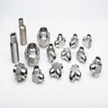 forged fittings high pressure fittings