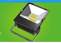 LED flood light