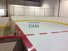 simulation ice rink