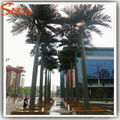 松涛工艺仿真椰子树 玻璃钢大型椰子树订做 广州人造景观树 2