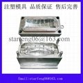 plastic injection mould 1