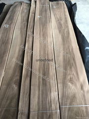 sapwood veneer