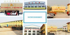 Jinshan Amusement Equipment Machinery Co.,Ltd.