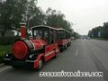 Factory supply special electric train tourist for amusement 4
