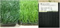 sports artificial turf 2