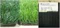 sports artificial turf 1