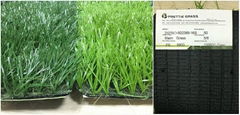 sports artificial turf