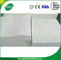 Scrim Reinforced Paper Hand Towel 1