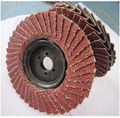 Abrasive Flexible Flap disc 1