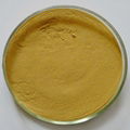 Organic Milk Thistle Extract Powder 80% silymarin, 30%silybin+isosilybin 2