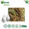 Manufacturer Provide High Purity 1% Huperzine A 3