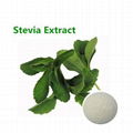 Stevia Extract