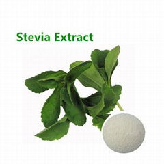 Stevia Extract  