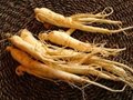 High quality red ginseng root extract 7% 1