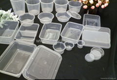 Disposable takeaway plastic food