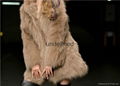 women winter fur jacket 1