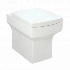  cistern hidden ceramic white glazed back to wall wc pan