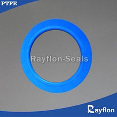 PTFE Envelope Gaskets