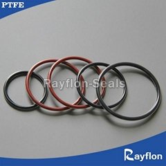 PTFE Encapsulated O Rings