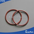 PTFE Encapsulated O Rings 2