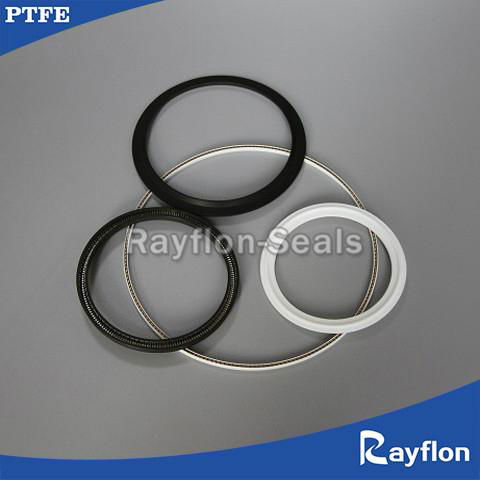 Spring Energized PTFE Seals 