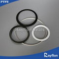 Spring Energized PTFE Seals