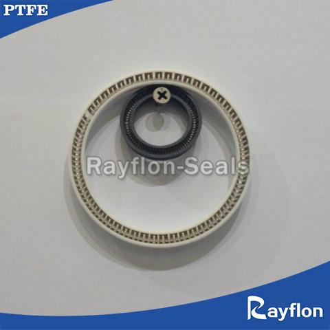 Spring Energized PTFE Seals  2