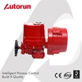 INTELLIGENT EXPLOSION PROOF ELECTRIC ACTUATOR 1