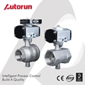 customized Pneumatic Two-Piece Ball Valve with Mini Actuator 4