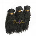 Wholesale Deep Quality Remy Brazilian