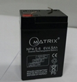 6V 4.5AH AGM battery 2