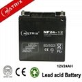 12v 24ah Matrix SLA Battery 5