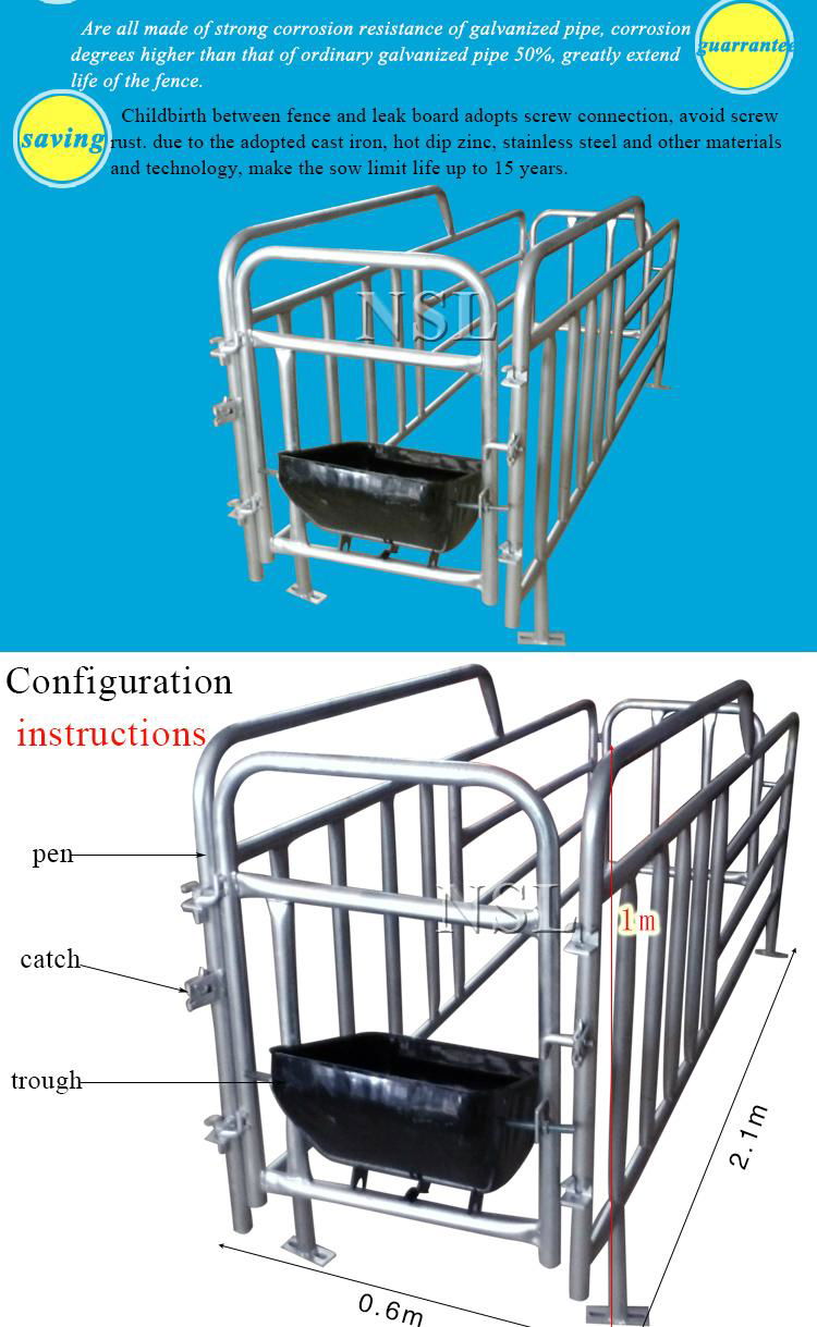 manufacturers of pig equipment gestation stall 2