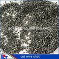 stainless steel cut wire shot