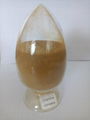 coprinus comatus extract