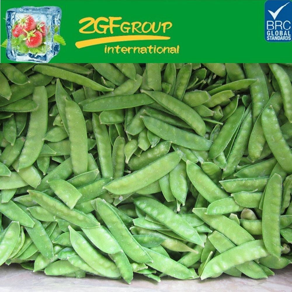 low price, IQF frozen peapods hot sale high quality 3