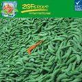 Cheap price! IQF frozen sugar snaps for sale 4