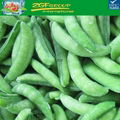 Cheap price! IQF frozen sugar snaps for sale 5