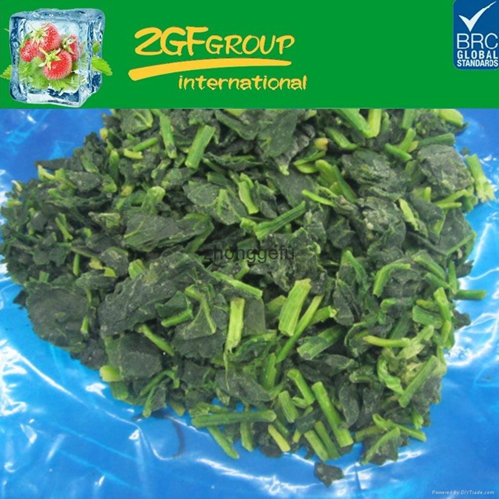 Hot sale high quality frozen iqf frozen spinach ball grounded 2