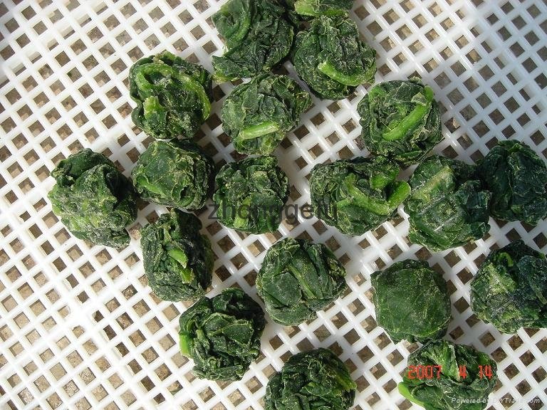 Hot sale high quality frozen iqf frozen spinach ball grounded 4