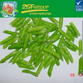 Hot sale High Quality bulk IQF frozen green beans for sale 1