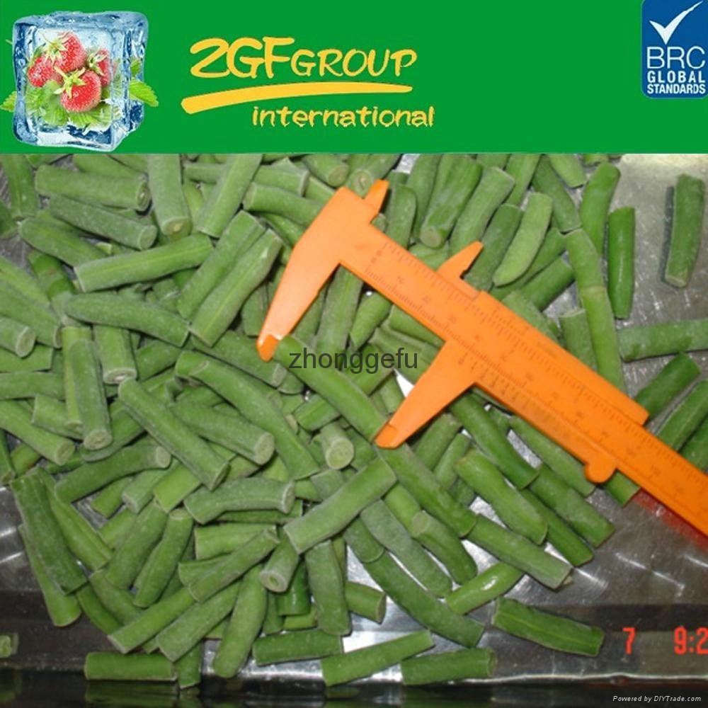 Hot sale High Quality bulk IQF frozen green beans for sale 2