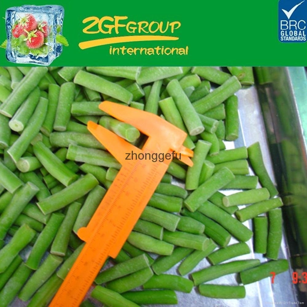 Hot sale High Quality bulk IQF frozen green beans for sale 4