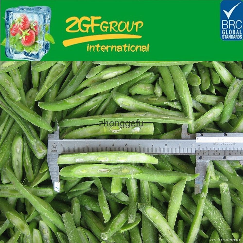Hot sale High Quality bulk IQF frozen green beans for sale 5