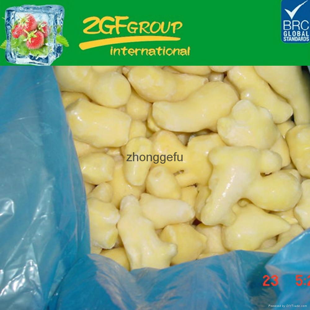 Hot Sale chinese fresh mature ginger high quality cheap 