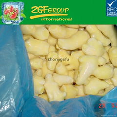 Hot Sale chinese fresh mature ginger high quality cheap