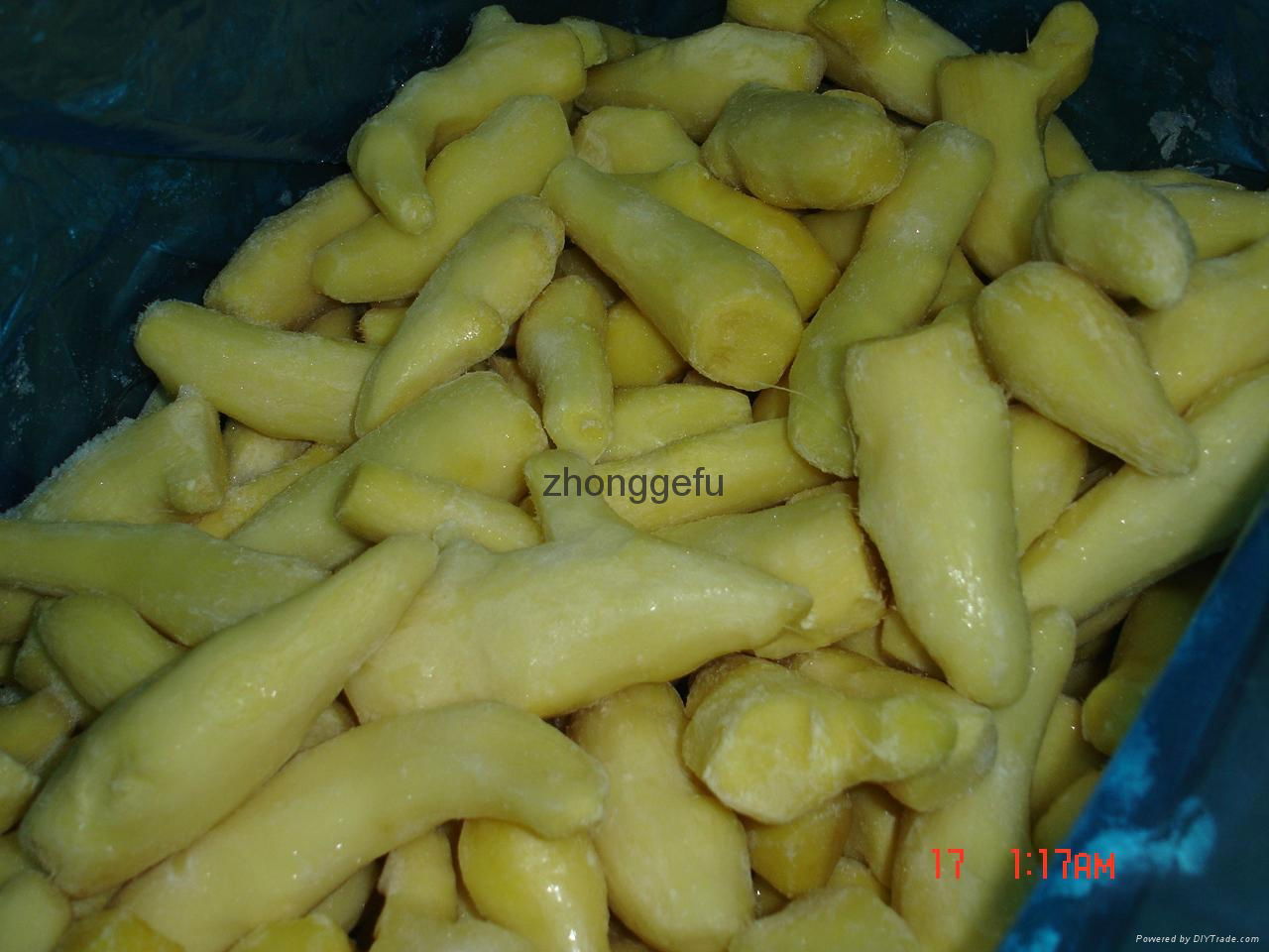 Hot Sale chinese fresh mature ginger high quality cheap  4